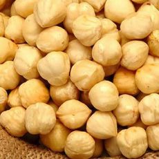 roasted-hazelnut-kernels