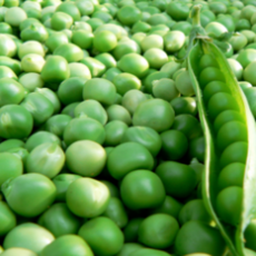 green-peas.png_350x350